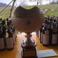  Domenica 2 Febbraio 2014 si è concluso il 33° Trofeo Monga con una netta vittoria  della nostra squadra femminile e il tutto sembrare normale, invece è un evento straordinario,infatti le […]